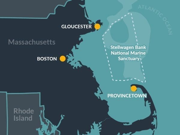 Stellwagen Bank National Marine Sanctuary