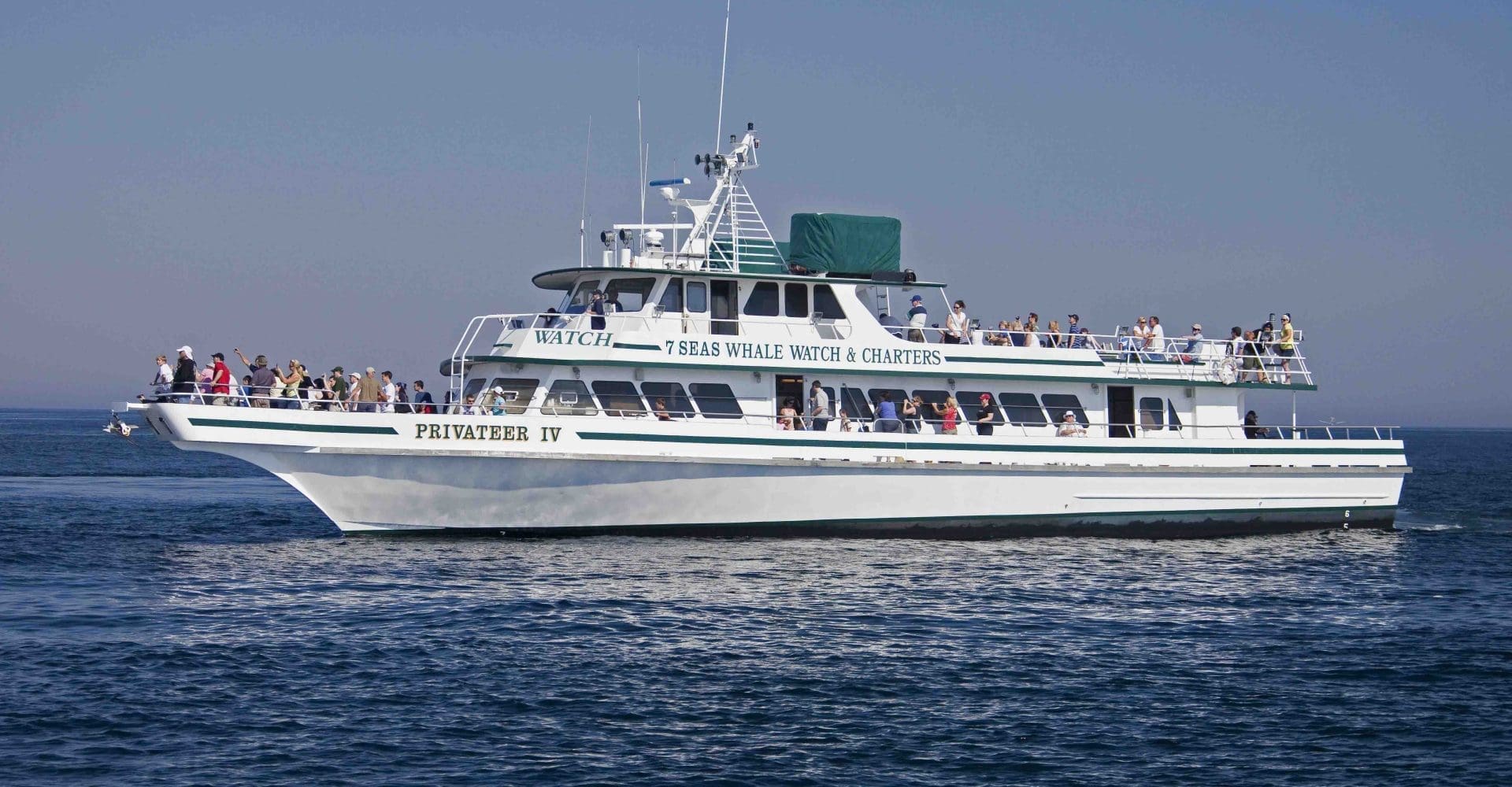 7 Seas Whale Watch