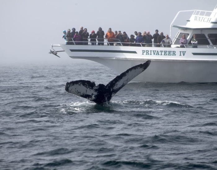 Privateer IV and Ocean Scenery00075