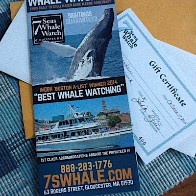 Whale Watch Gift Certificate