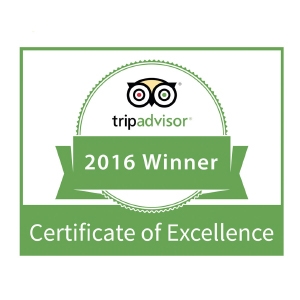 TRIP ADVISOR EXCELLENCE Trip Advisor
